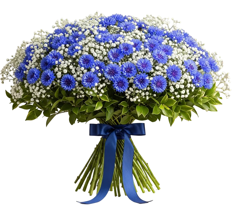 Cute Bouquet of Gypsophila with Cornflower - Florist London