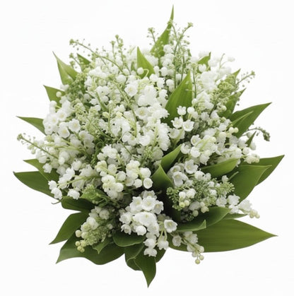 Cute Fragrant Bouquet of Lily of the Valley with Green Bell - Florist London
