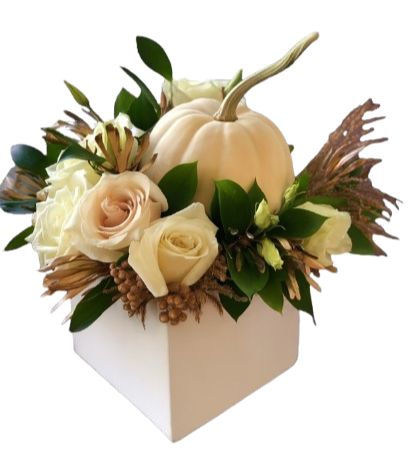 Cute White Roses Box with Pumpkin