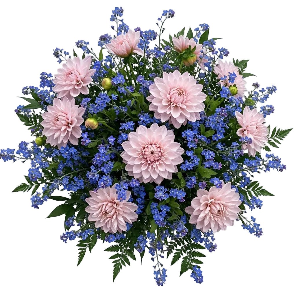 Dahlia with Blue Forget-Me-Not Bouquet - Florist London