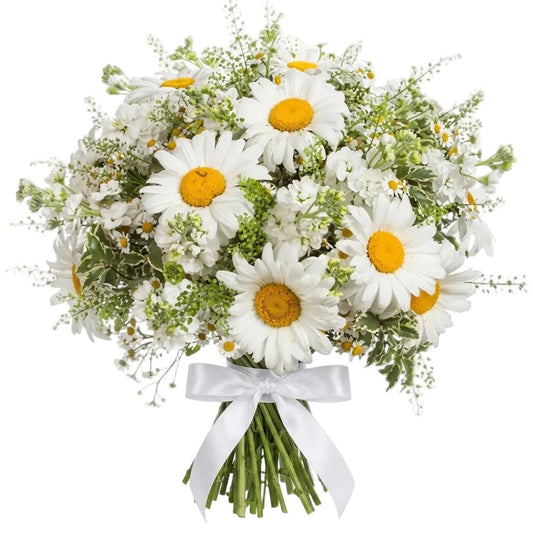 Daisies and Stock Bouquet - Florist London