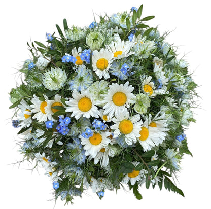 Daisies with Blue Forget Me Not and Nigella Bouquet - Florist London