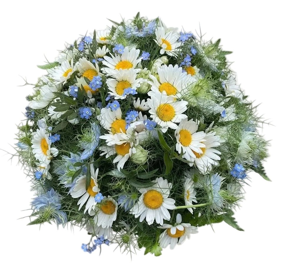 Daisies with Blue Forget Me Not and Nigella Bouquet - Florist London
