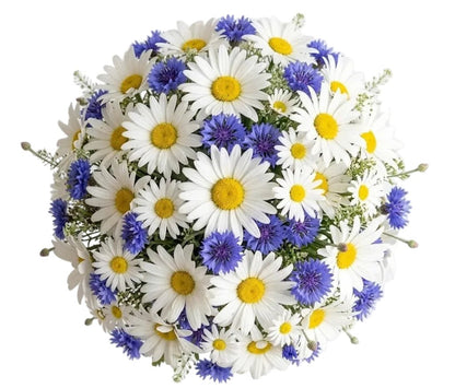 Daisy and Cornflower Bouquet - Florist London