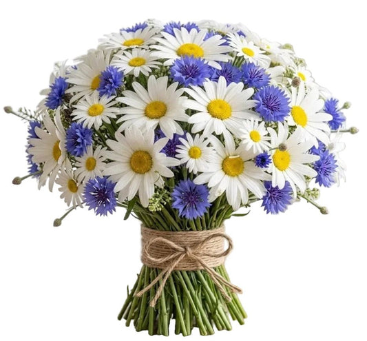 Daisy and Cornflower Bouquet - Florist London