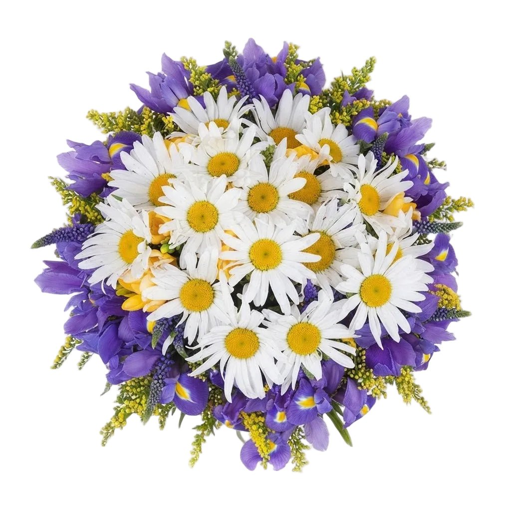 Daisy and Iris Bouquet - Florist London