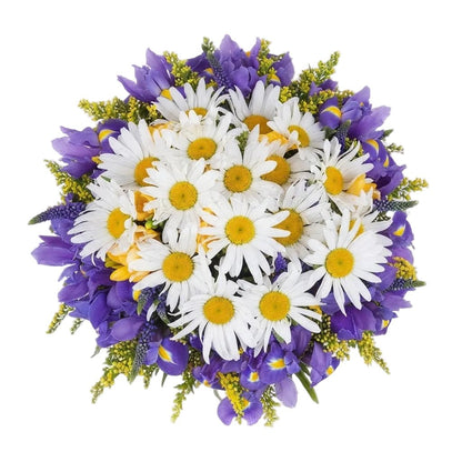 Daisy and Iris Bouquet - Florist London