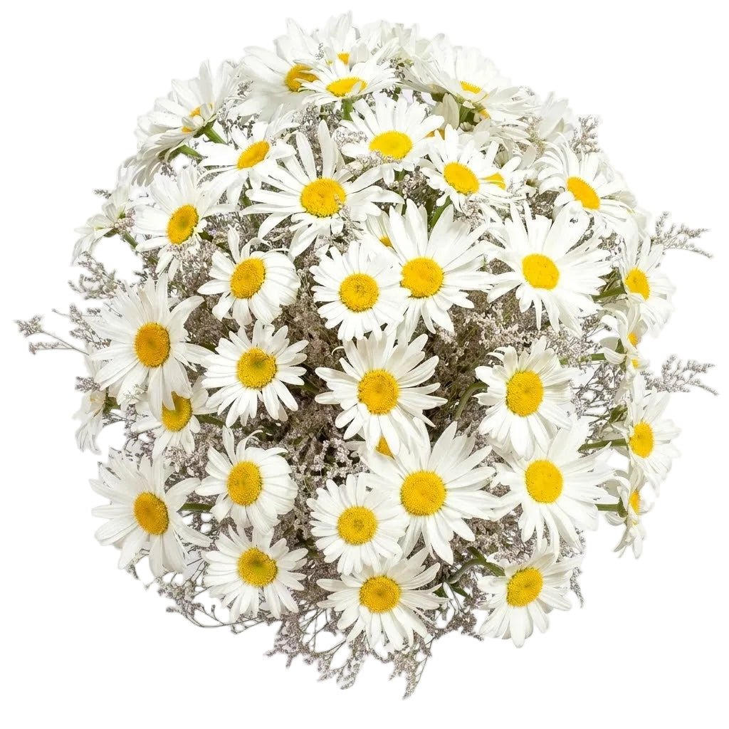Daisy and Limonium Bouquet - Florist London