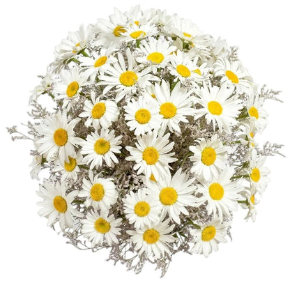 Daisy and Limonium Bouquet - Florist London