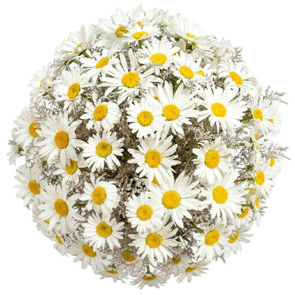 Daisy and Limonium Bouquet - Florist London