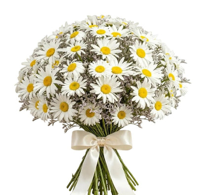 Daisy and Limonium Bouquet - Florist London