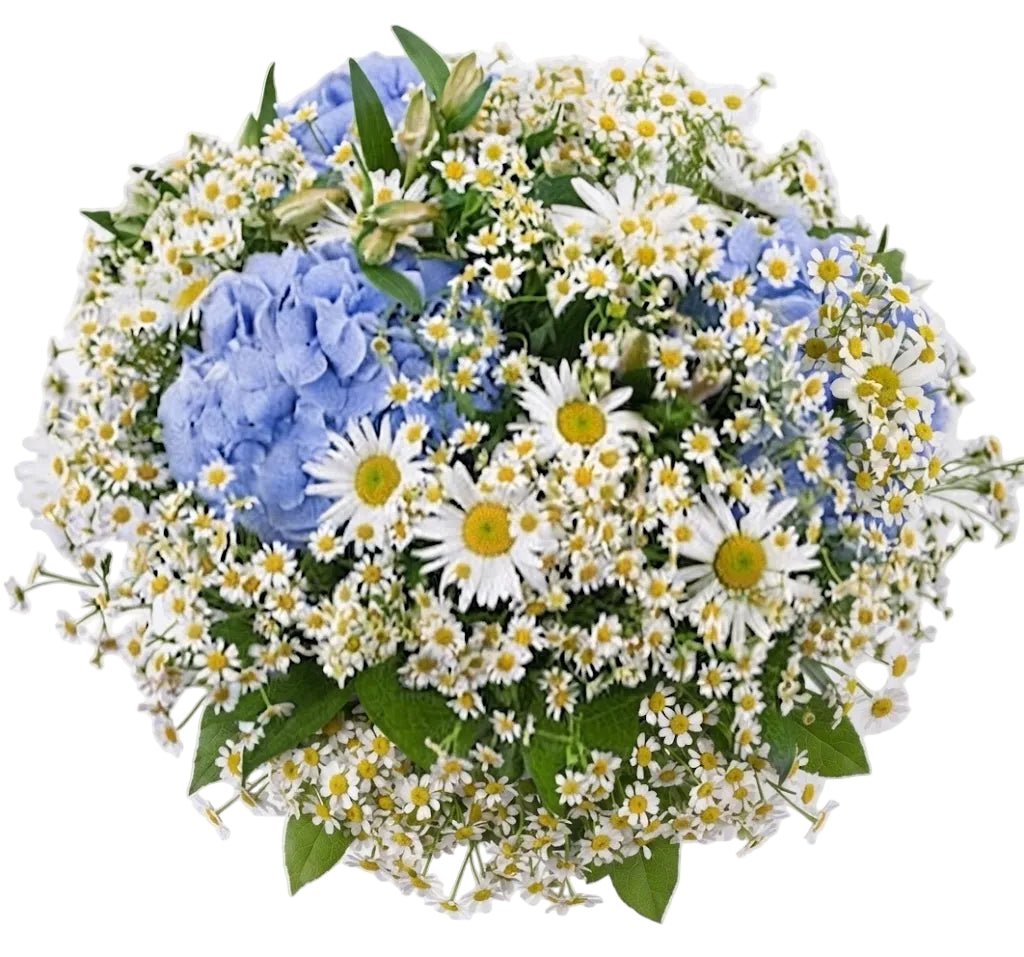 Daisy Bouquet with Blue Hydrangea - Florist London