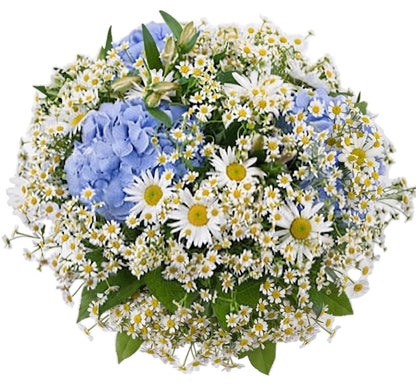 Daisy Bouquet with Blue Hydrangea - Florist London