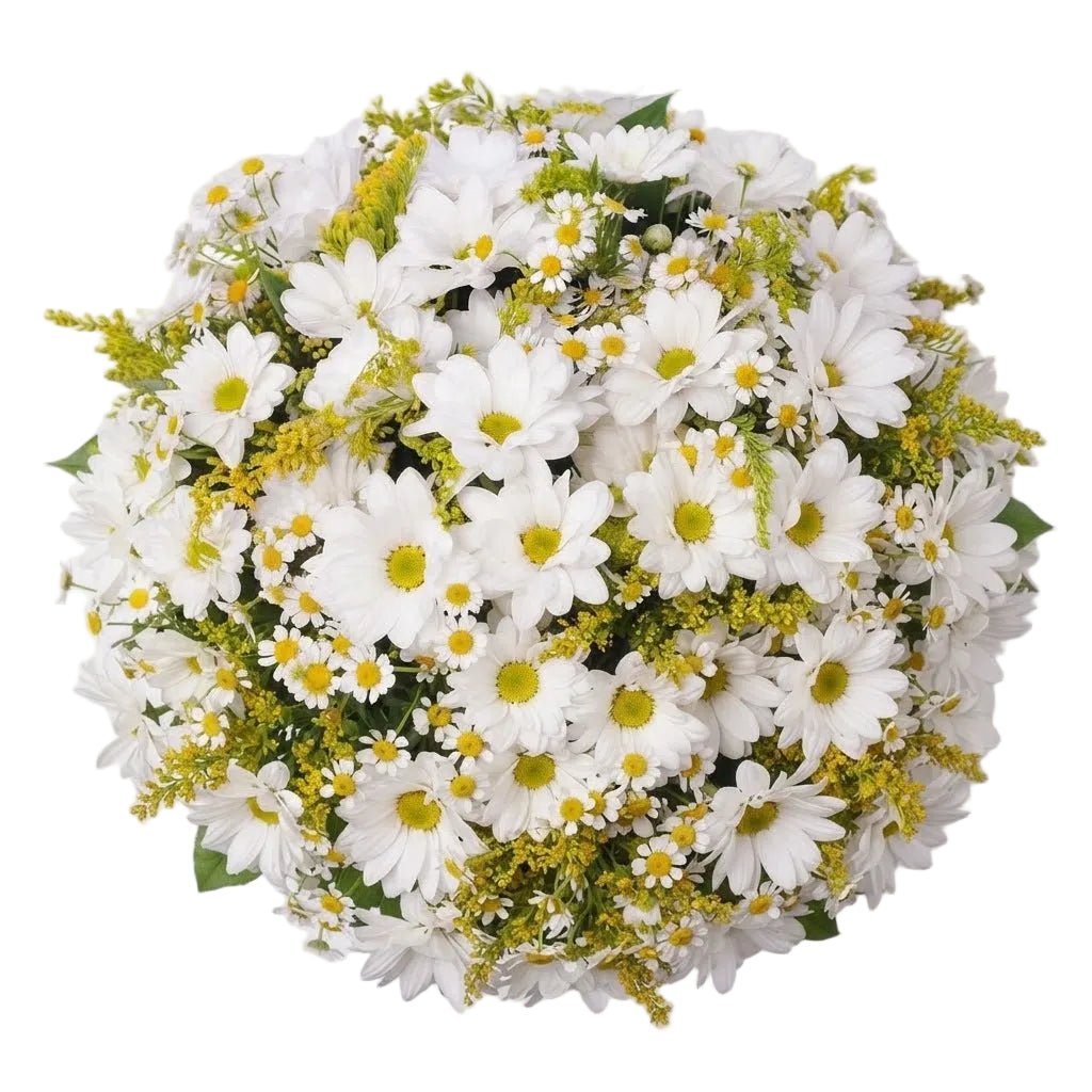 Daisy Chrysanthemum with Solidago Bouquet - Florist London
