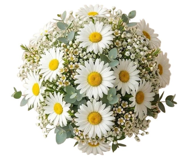 Daisy Leucanthemum with Wax Flowers Bridal Bouquet - Florist London