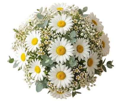 Daisy Leucanthemum with Wax Flowers Bridal Bouquet - Florist London