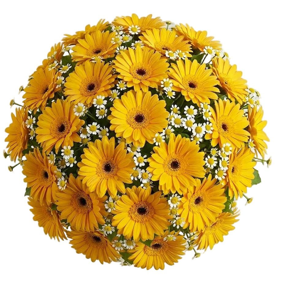 Daisy Tanacetum and Gerbera Bouquet - Florist London