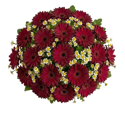 Daisy Tanacetum and Gerbera Bouquet - Florist London