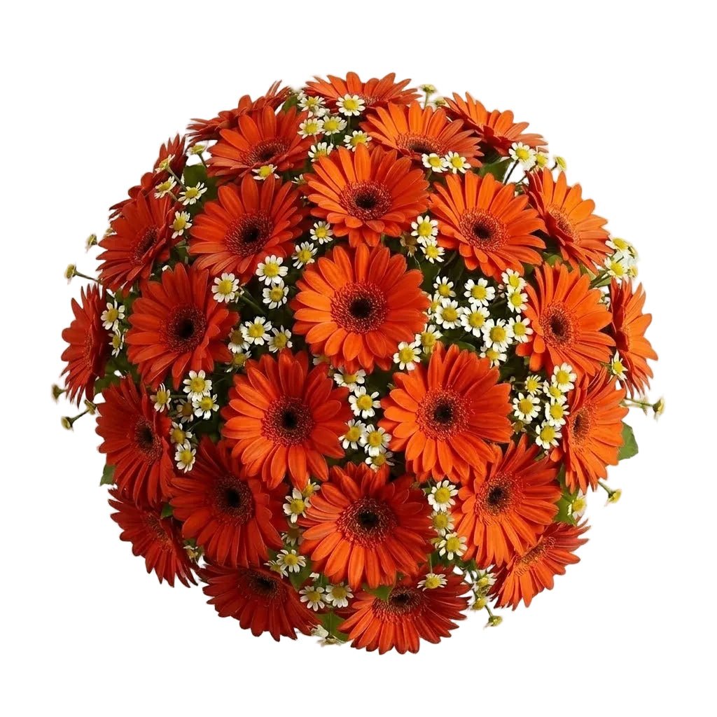 Daisy Tanacetum and Gerbera Bouquet - Florist London