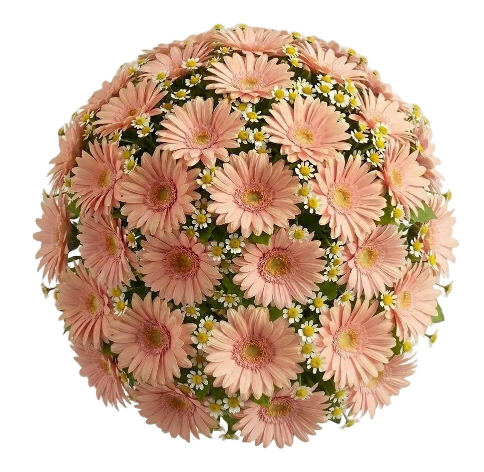 Daisy Tanacetum and Gerbera Bouquet - Florist London