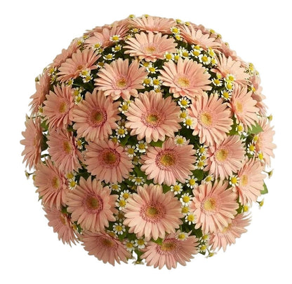 Daisy Tanacetum and Gerbera Bouquet - Florist London