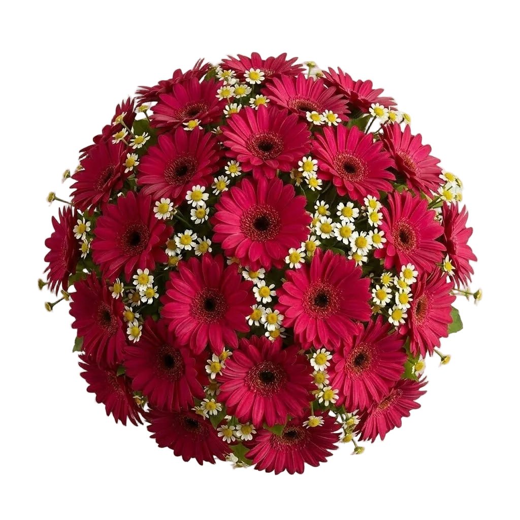 Daisy Tanacetum and Gerbera Bouquet - Florist London