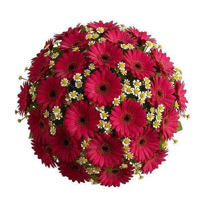 Daisy Tanacetum and Gerbera Bouquet - Florist London