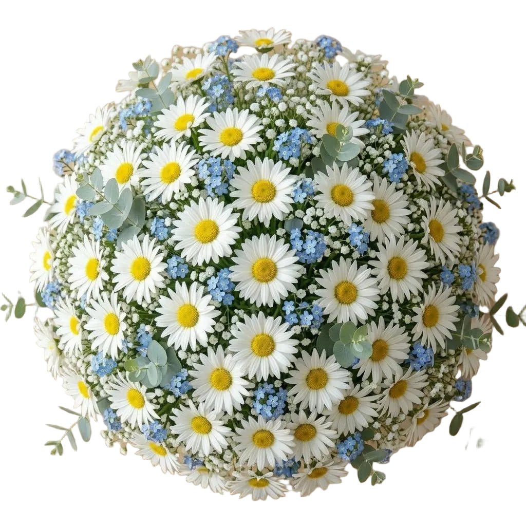 Daisy with Blue Forget Me Not and Gypsophila Bouquet - Florist London