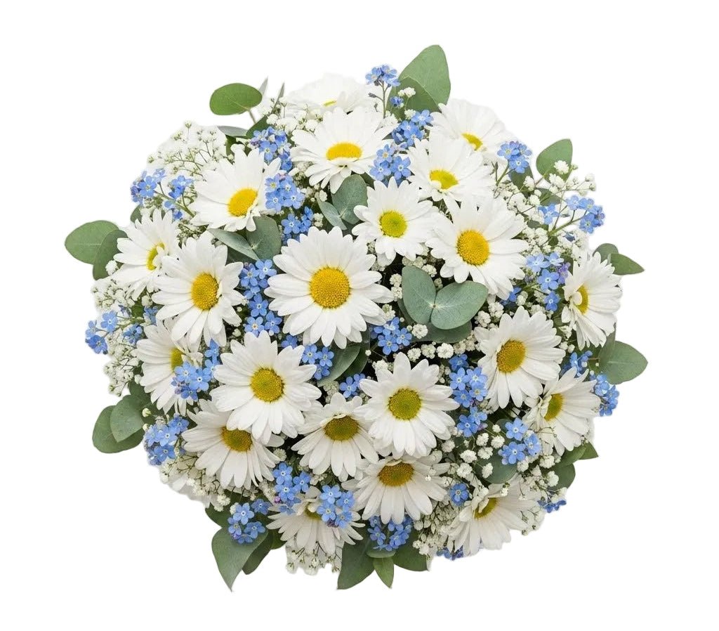 Daisy with Blue Forget Me Not and Gypsophila Bouquet - Florist London