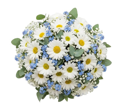 Daisy with Blue Forget Me Not and Gypsophila Bouquet - Florist London