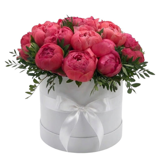 Dark Coral Peonies Box - Florist London