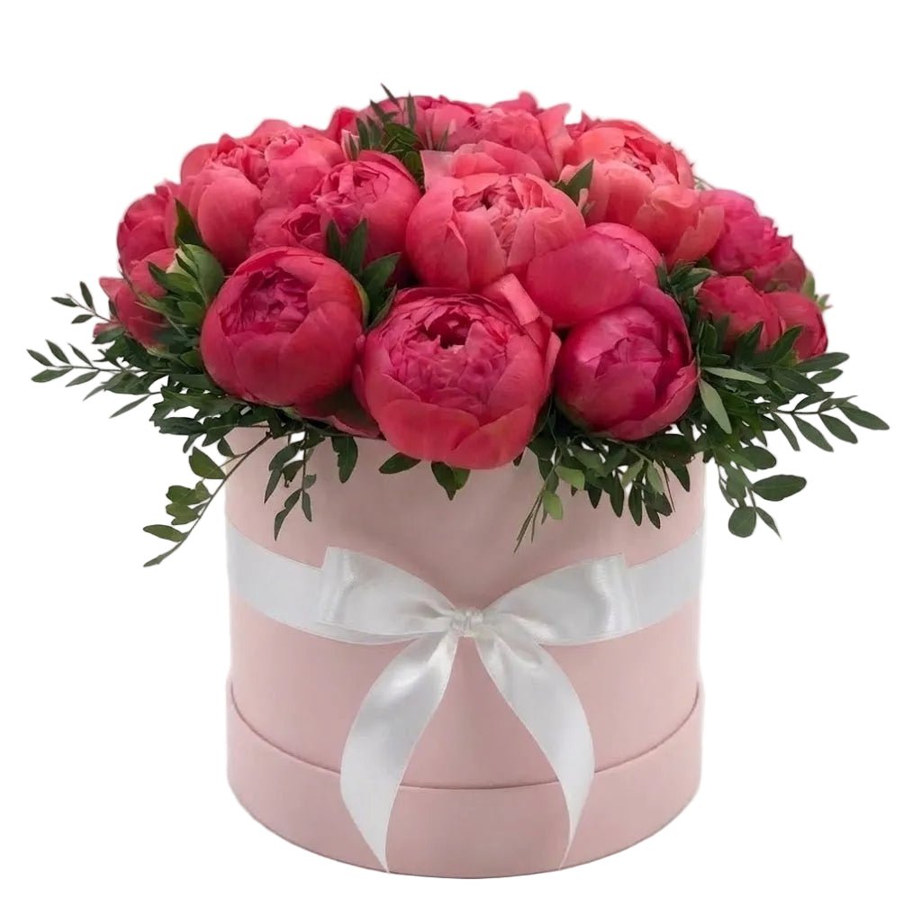 Dark Coral Peonies Box - Florist London