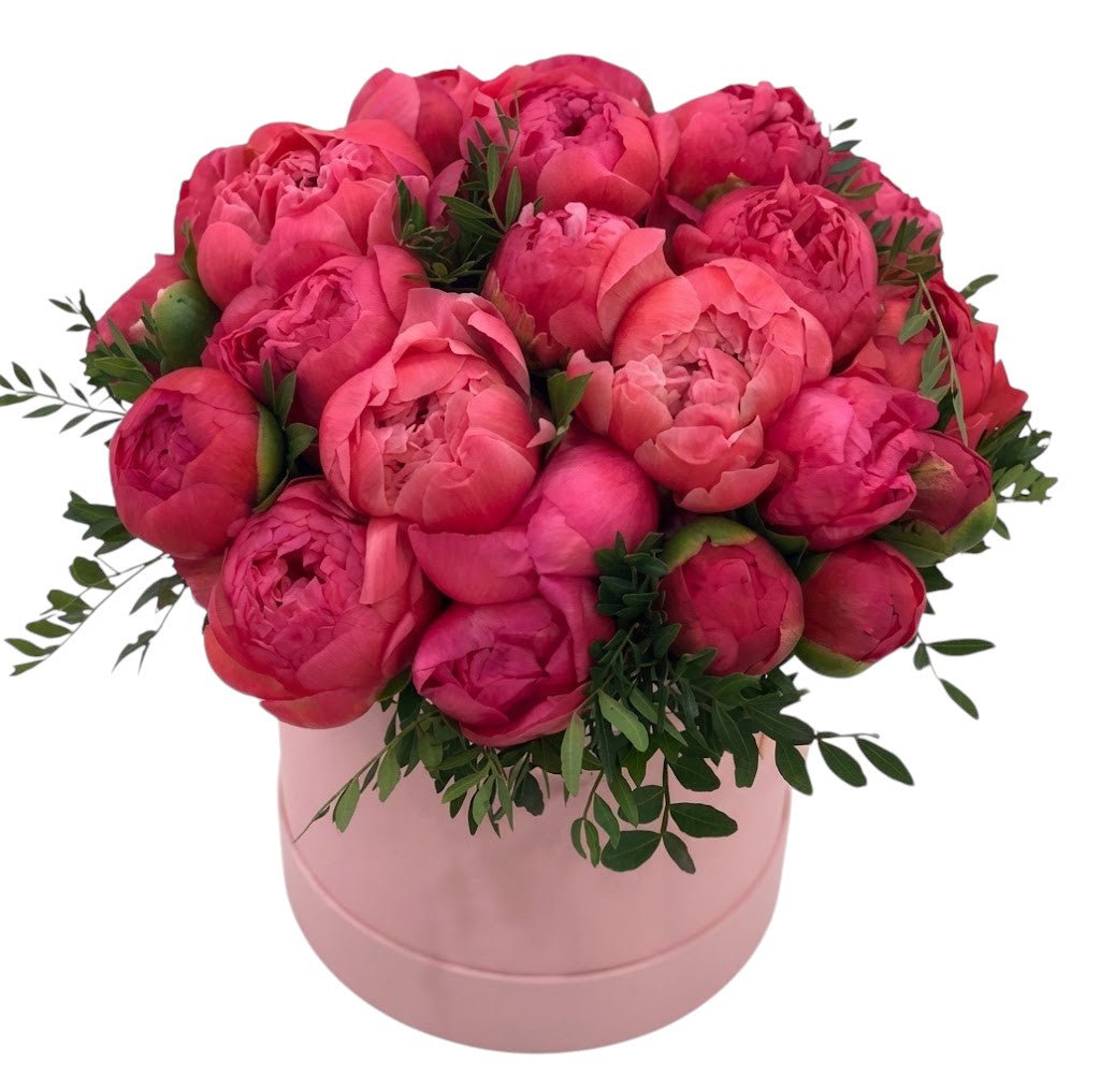 Dark Coral Peonies Box - Florist London