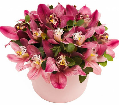 Dark Pink Cymbidium in a Box - Florist London