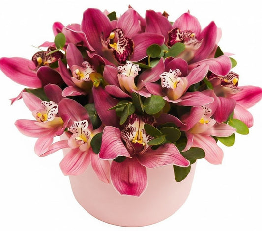 Dark Pink Cymbidium in a Box - Florist London