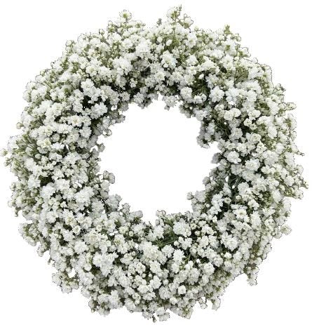 Door Wreath of Limonium - Florist London
