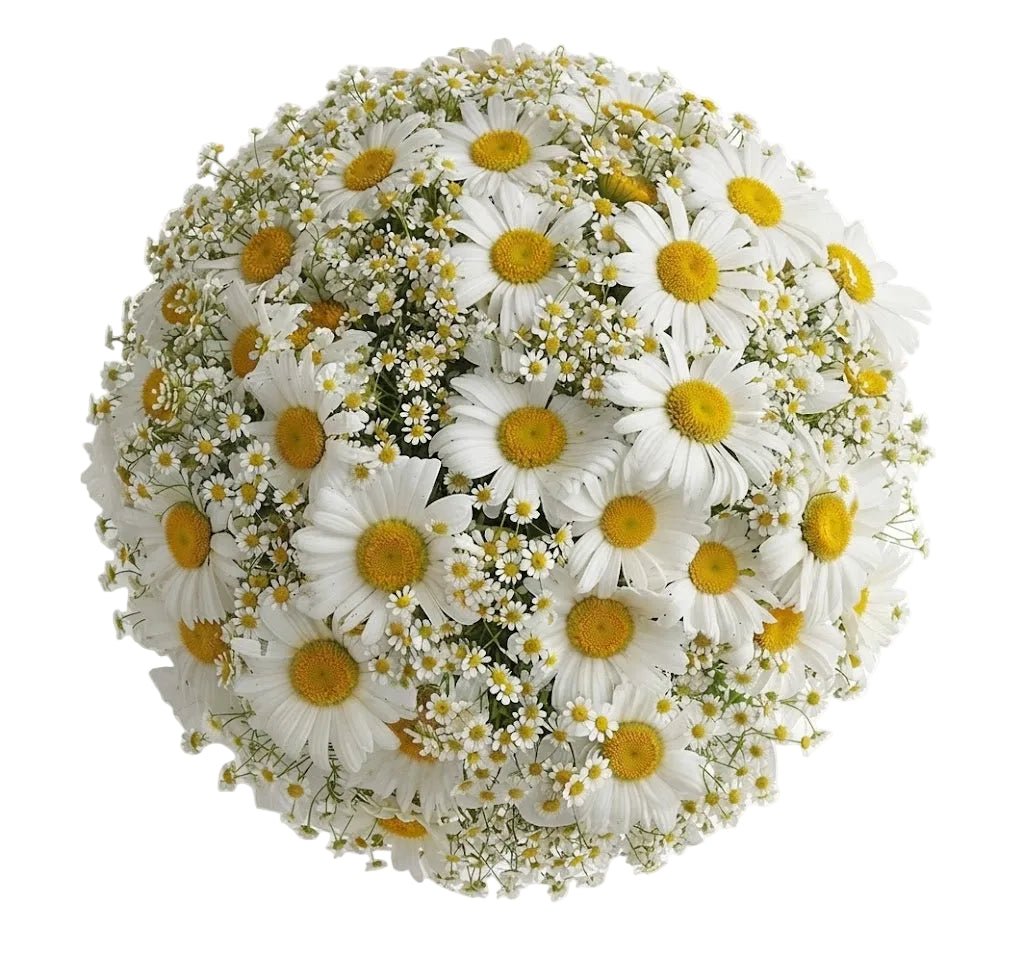 Duo Daisy Pretty Bouquet - Florist London