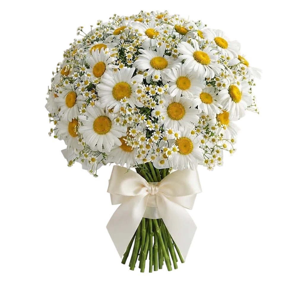 Duo Daisy Pretty Bouquet - Florist London