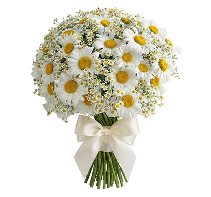 Duo Daisy Pretty Bouquet - Florist London