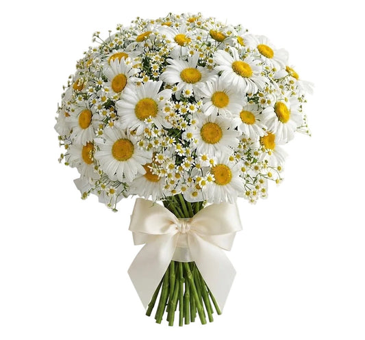 Duo Daisy Pretty Bouquet - Florist London