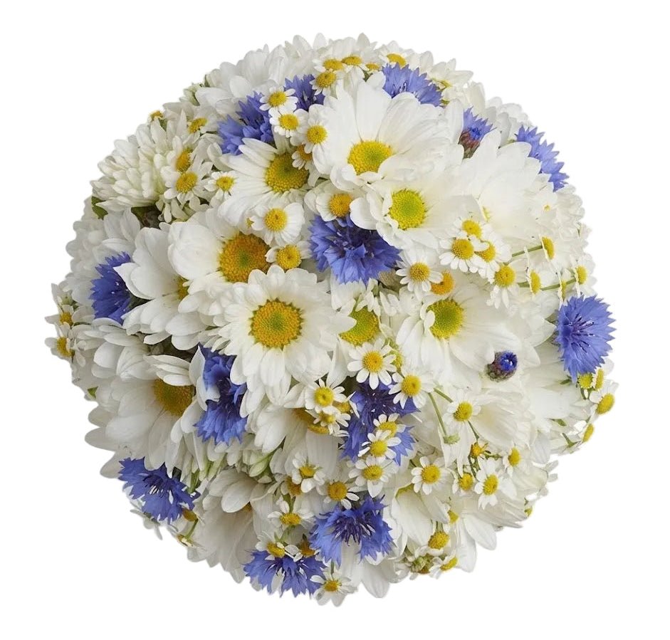 Duo Daisy with Cornflower Bouquet - Florist London