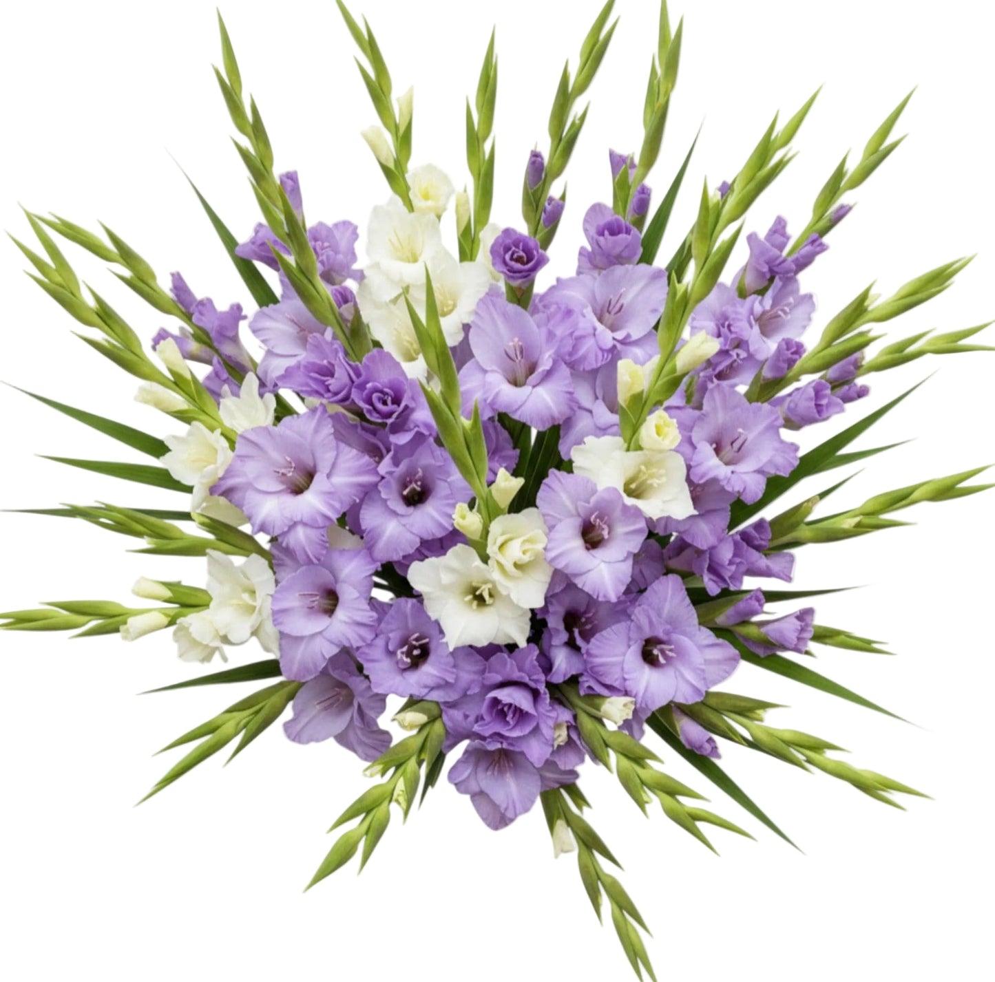 Duo Gladiolus Bouquet - Florist London