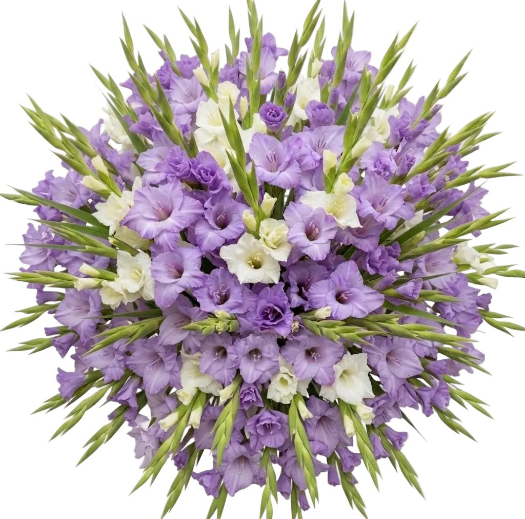 Duo Gladiolus Bouquet - Florist London