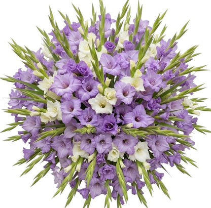 Duo Gladiolus Bouquet - Florist London