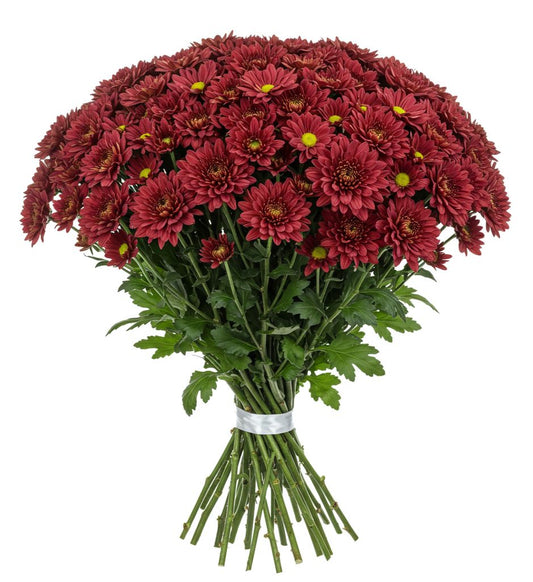 Duo Red Chrysanthemum Bouquet