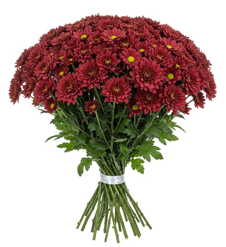 Duo Red Chrysanthemum Bouquet - Florist London