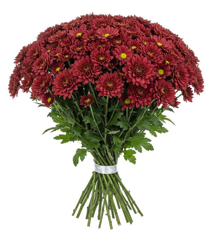 Duo Red Chrysanthemum Bouquet - Florist London
