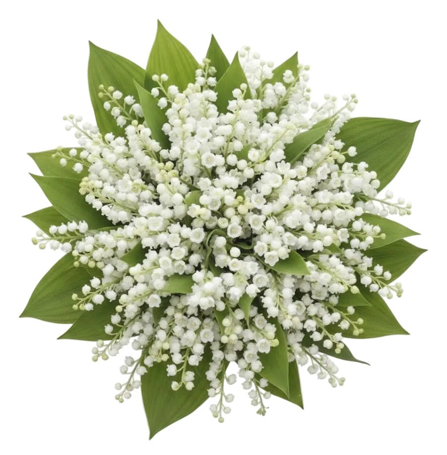 Elegant Lily of the Valley Wedding Bouquet - Florist London