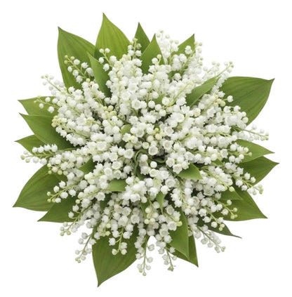 Elegant Lily of the Valley Wedding Bouquet - Florist London