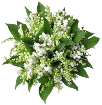 Elegant Lily of the Valley Wedding Bouquet - Florist London